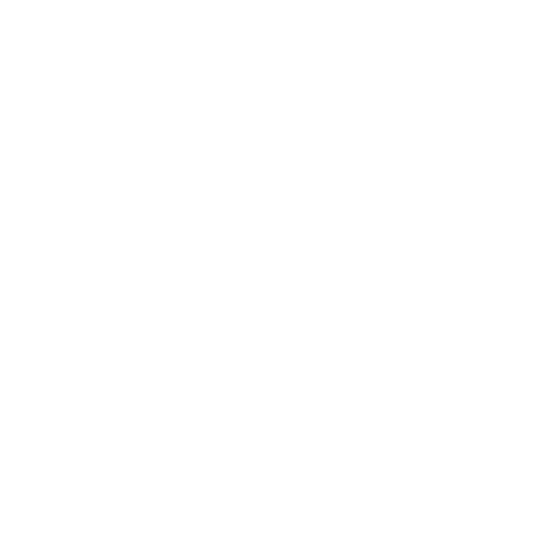 shopping icon